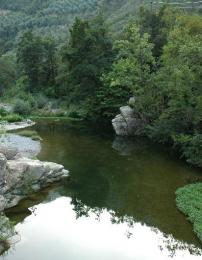 Il Torrente Bevera dal ponte