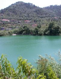 La cerchia vegetale attorno al lago