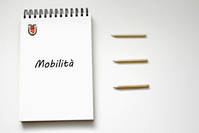 Avviso di Mobilità per n.1 Istruttore tecnico - Geometra ex cat.C Avviso di Mobilità per n.1 Istruttore tecnico - Geometra ex cat.C