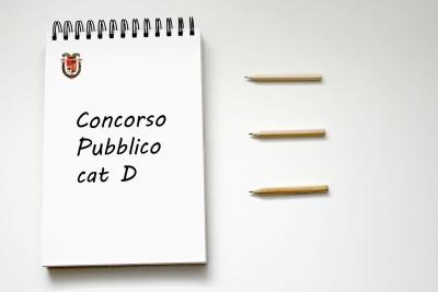 immagine logo concorso cat d