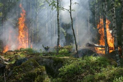 Stato grave pericolosità incendi boschivi