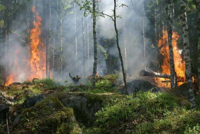 Stato grave pericolosità incendi boschivi Stato grave pericolosità incendi boschivi