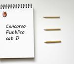 immagine logo concorso cat d