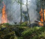 Stato grave pericolosità incendi boschivi